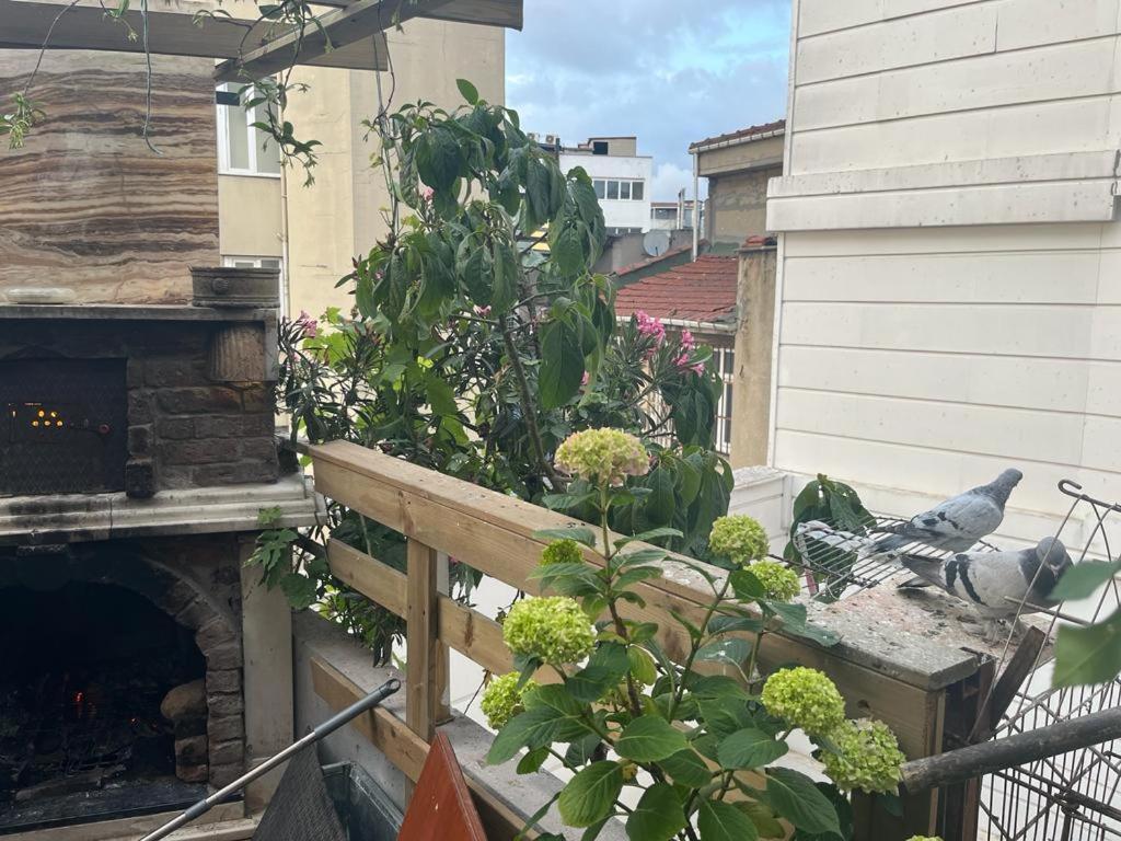 Central Apartment Kadikoy Terrace Bbq Close 2 Block Ferry Bull Metro Nighlife Estambul Exterior foto