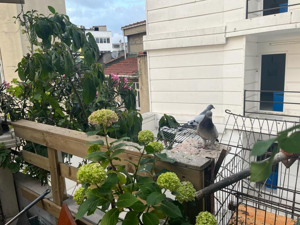 Central Apartment Kadikoy Terrace Bbq Close 2 Block Ferry Bull Metro Nighlife Estambul Exterior foto